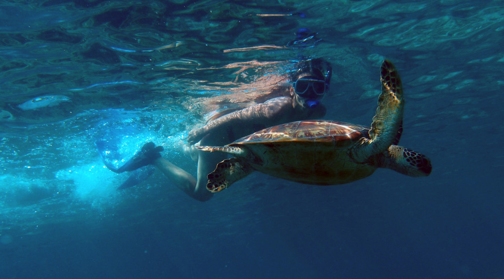 FILIPÍNY – plavání s karetami obrovskými na Apo Island