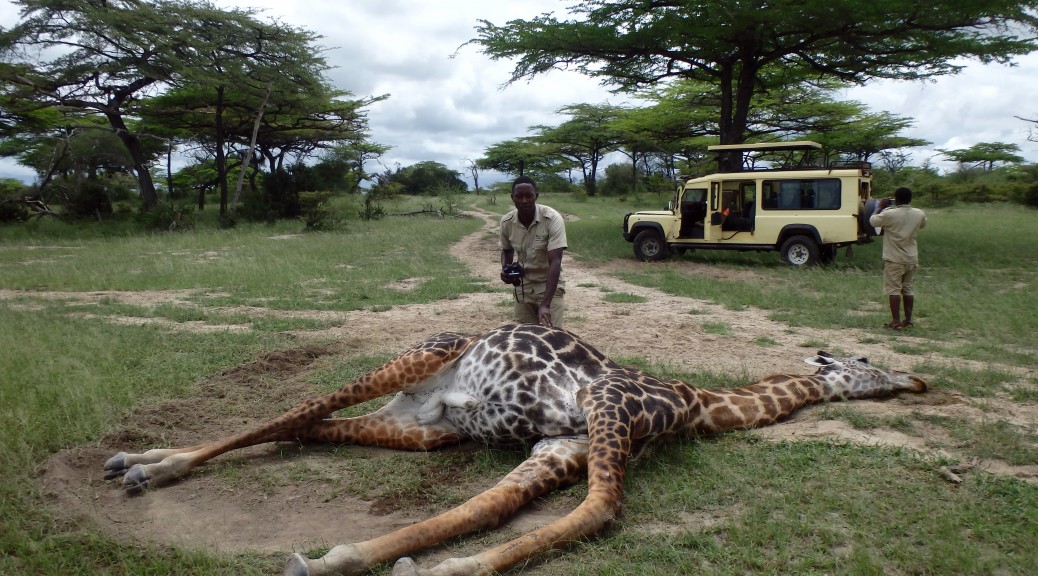 Zpestřete si pobyt na bělostných plážích Zanzibaru díky safari v Selous