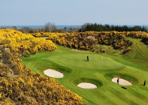 Druids Heath Golf