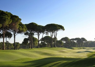 Sueno Golf Club The Pines  | Golfové zájezdy, golfová dovolená, luxusní golf