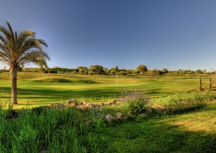 Boavista Golf Course<span class='vzdalenost'>(259 km od hotelu)</span>