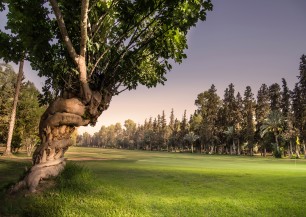 Royal Golf Marrakech<span class='vzdalenost'>(14 km od hotelu)</span>