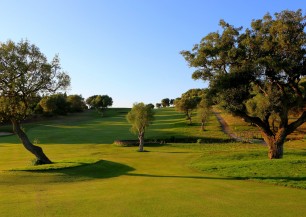 Montenmedio Golf & Country Club<span class='vzdalenost'>(66 km od hotelu)</span>