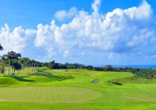 Royal Westmoreland Golf<span class='vzdalenost'>(4 km od hotelu)</span>
