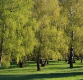 Royal Bled Golf | Golfové zájezdy, golfová dovolená, luxusní golf