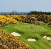 Druids Heath Golf | Golfové zájezdy, golfová dovolená, luxusní golf