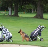 Golfclub Goldegg | Golfové zájezdy, golfová dovolená, luxusní golf