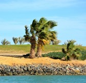 Steigenberger El Gouna Golf Club | Golfové zájezdy, golfová dovolená, luxusní golf