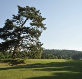 Golf Resort Františkovy Lázně | Golfové zájezdy, golfová dovolená, luxusní golf