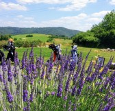 Golf Park Slapy | Golfové zájezdy, golfová dovolená, luxusní golf