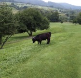 Golf Park Slapy | Golfové zájezdy, golfová dovolená, luxusní golf