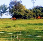 Golf Park Slapy | Golfové zájezdy, golfová dovolená, luxusní golf