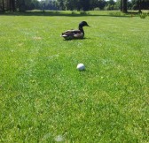 GOLF CLUB PODĚBRADY | Golfové zájezdy, golfová dovolená, luxusní golf