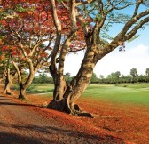 Mont Choisy Le Golf | Golfové zájezdy, golfová dovolená, luxusní golf