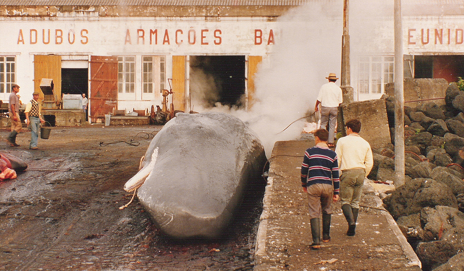 Azory - Pico - muzeum velryb