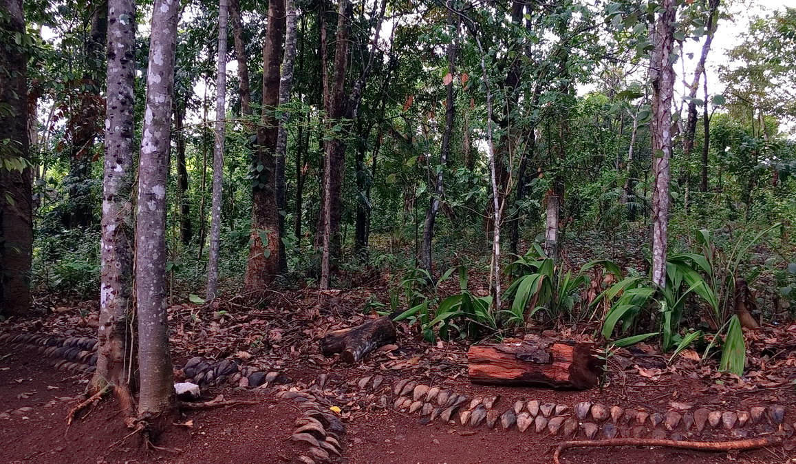 Srí Lanka - zahrada koření Matale