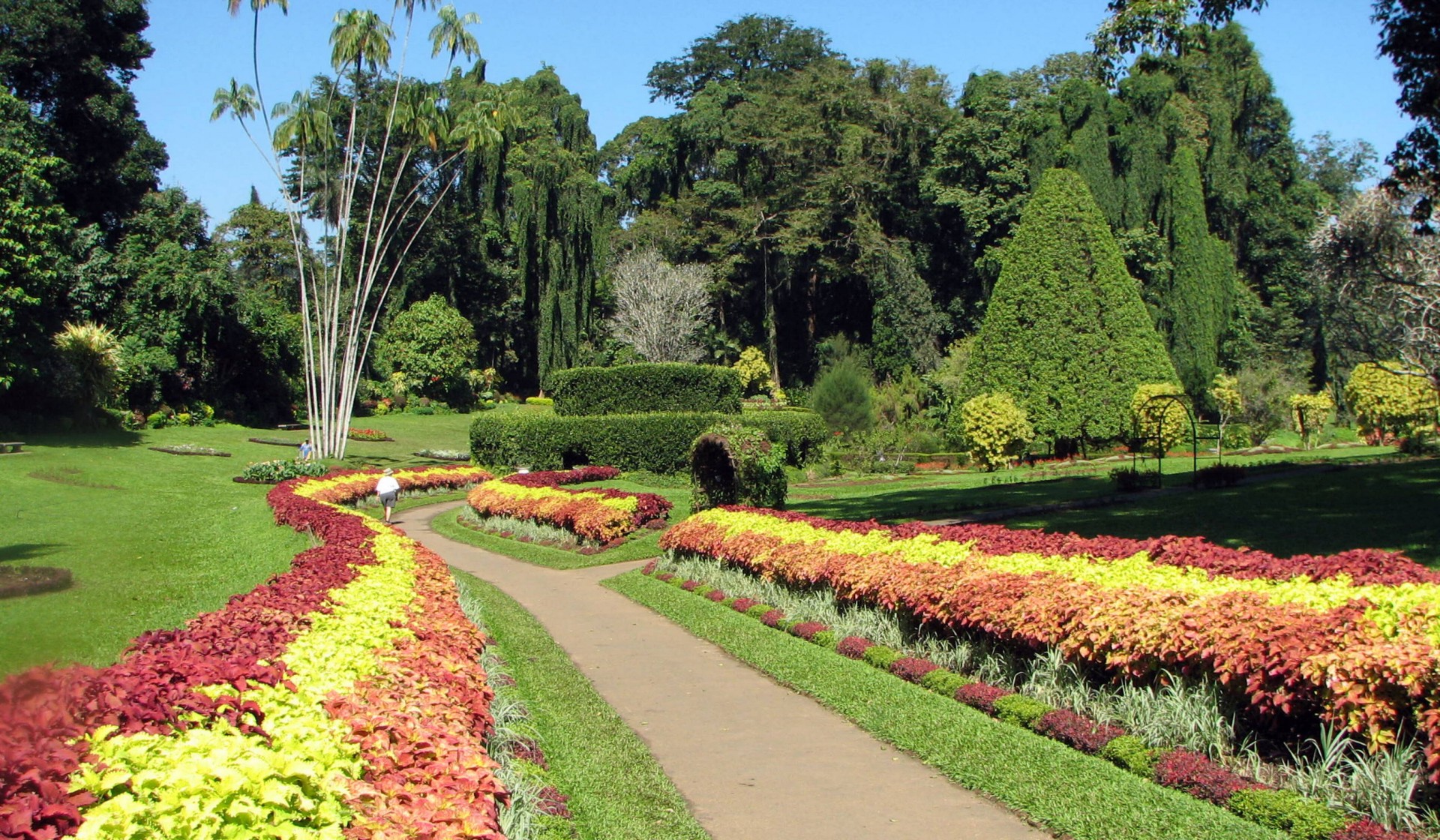 Srí Lanka - Kandy - botanická zahrada Peradeniya