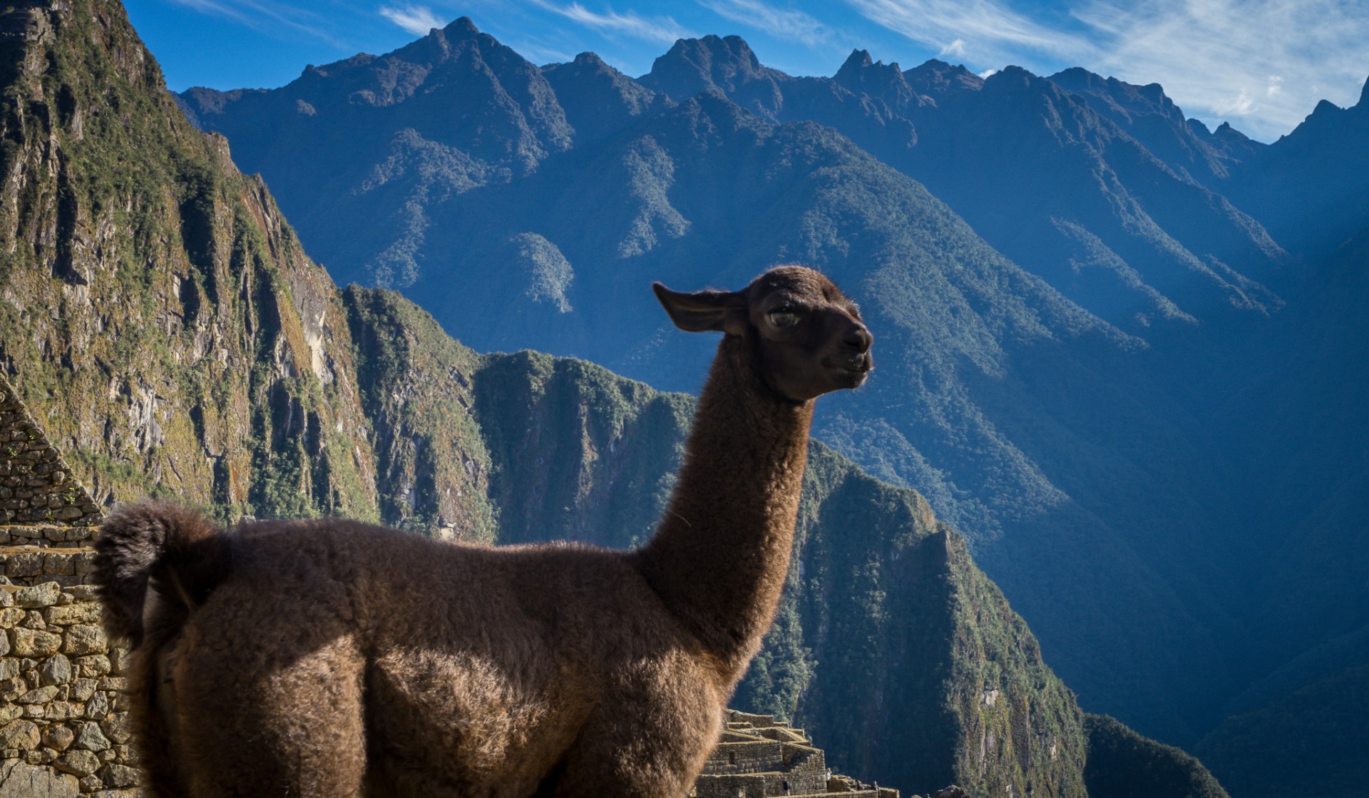 Peru - Macchu Picchu