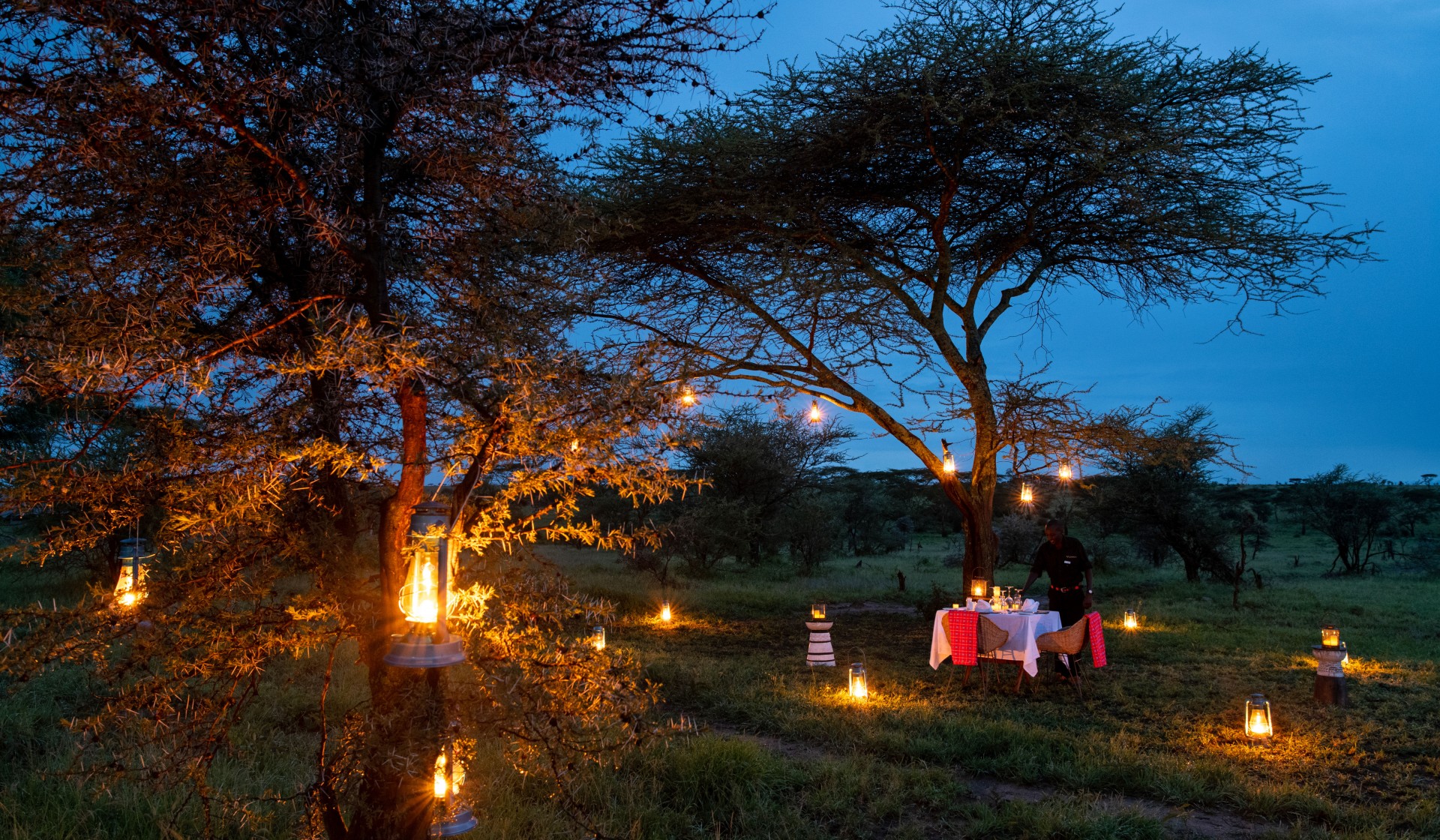 Tanzánie - park Serengeti -  Lemala Nanyukie tented camp - safari