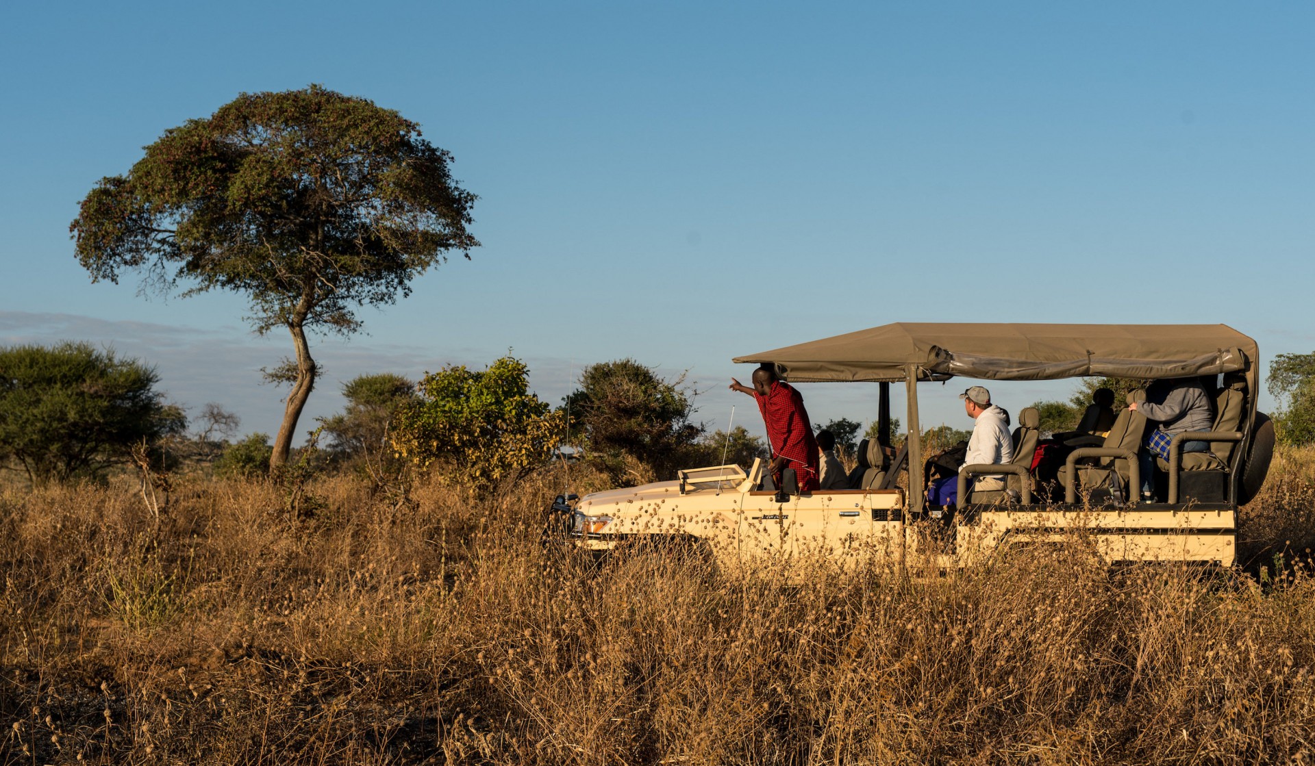 Tanzánie - park Tarangire - Lemala Mpingo Ridge Tented Lodge - safari