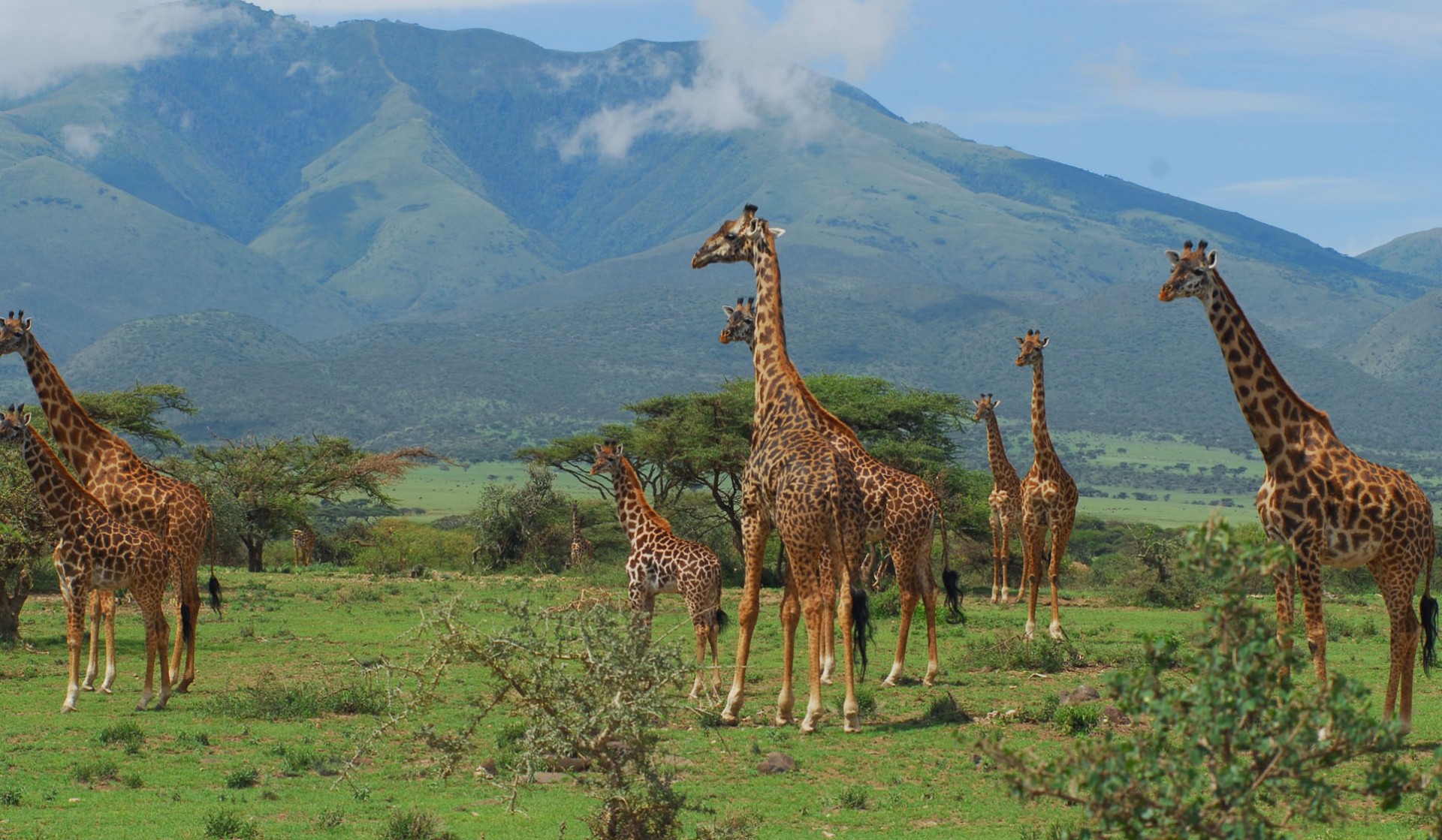 Tanzánie  - park Serengeti - Oldupai Gorge