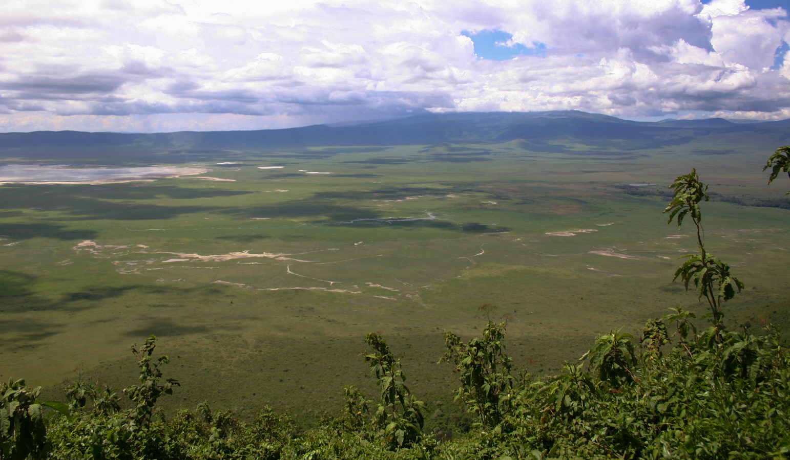 Tanzánie - park Ngorongoro - kráter Ngorongoro - safari