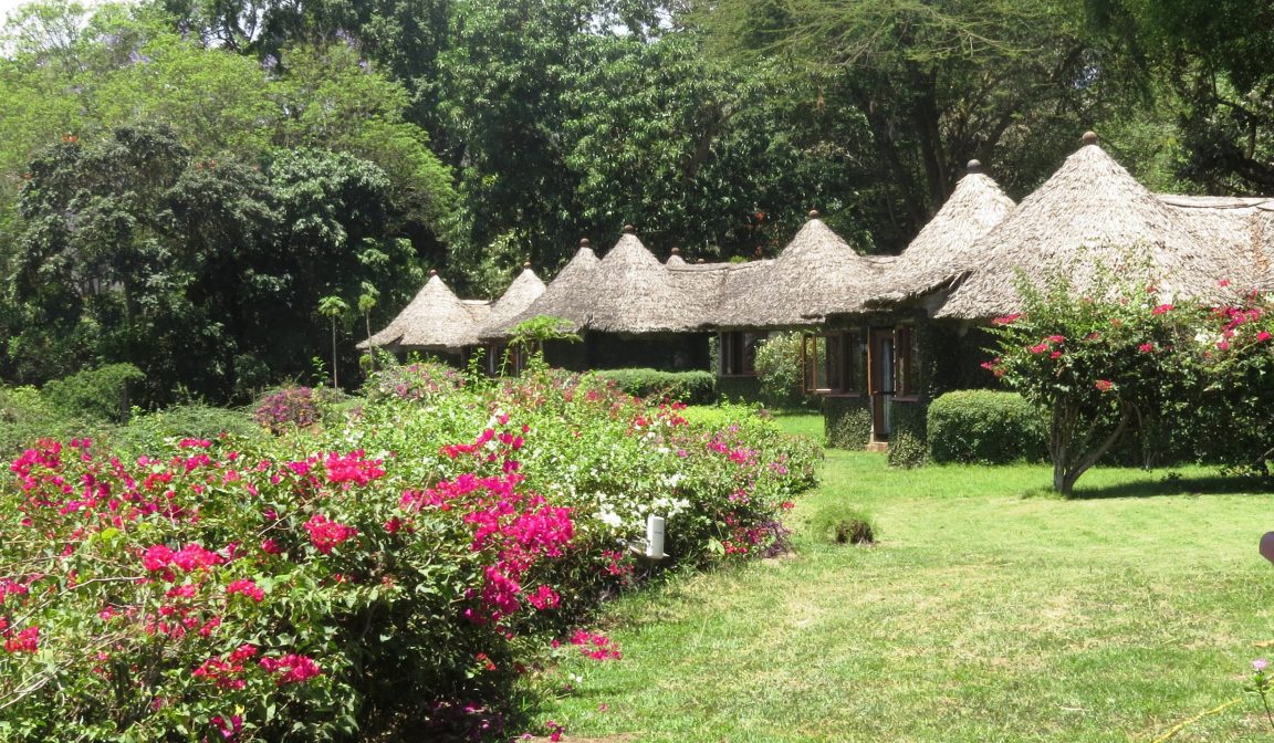 Tanzánie - Arusha - Serena hotel - safari
