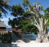 BANDOS MALDIVES