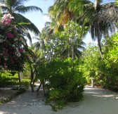 BANDOS MALDIVES