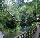 MAYA UBUD RESORT & SPA