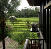 MAYA UBUD RESORT & SPA