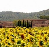 BORGO LA BAGNAIA GOLF & SPA - GOLF