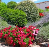 BORGO LA BAGNAIA GOLF & SPA 