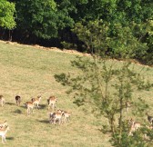 BORGO LA BAGNAIA GOLF & SPA 