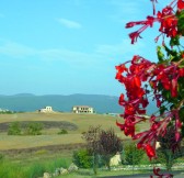 BORGO LA BAGNAIA GOLF & SPA - GOLF