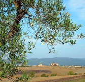 BORGO LA BAGNAIA GOLF & SPA 