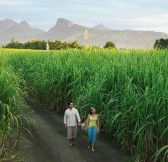 XX FOUR SEASONS RESORT MAURITIUS AT ANAHITA - GOLF