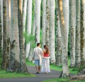 FOUR SEASONS RESORT MAURITIUS AT ANAHITA 