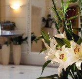 Radisson-Royal4