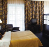 Radisson-Royal3