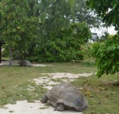 BIRD ISLAND LODGE