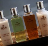 PALM HOTEL & SPA