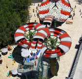 King_Cobra-(1)