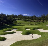 TERRE BLANCHE SPA & GOLF RESORT - GOLF