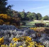 DRUIDS GLEN HOTEL & GOLF RESORT 