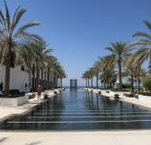 THE CHEDI MUSCAT