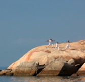 SIX SENSES NINH VAN BAY