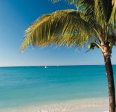 ROYAL PALM BEACHCOMBER LUXURY
