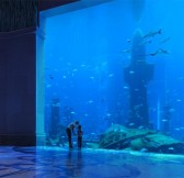 ATLANTIS THE PALM