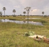 NXABEGA OKAVANGO TENTED CAMP